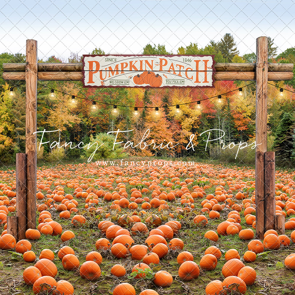Welcome To The Pumpkin Patch