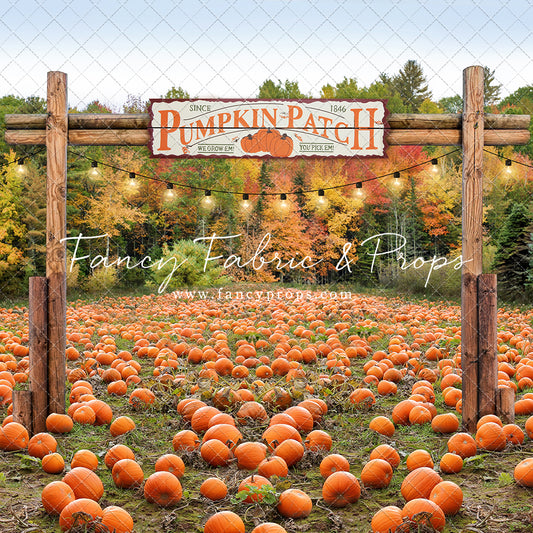 Welcome To The Pumpkin Patch