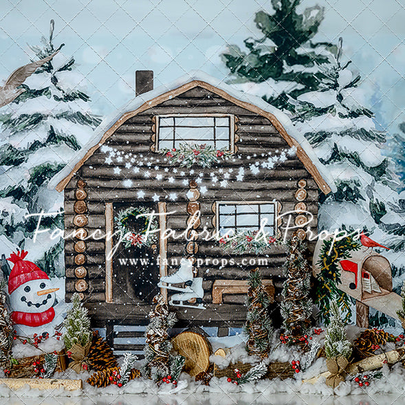 Winter Cabin Fun
