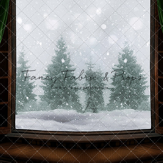 Winter Window View
