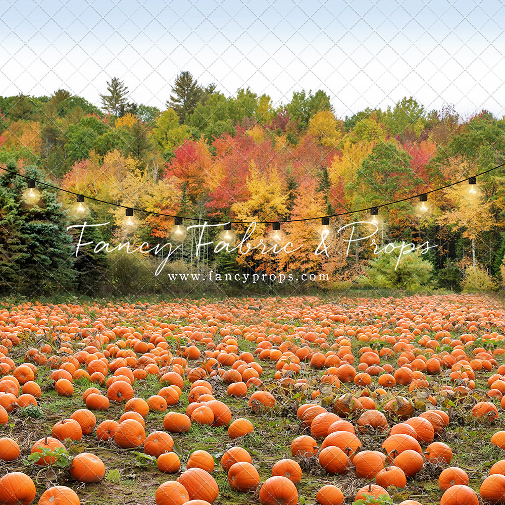 It's Pumpkin Pickin' Time