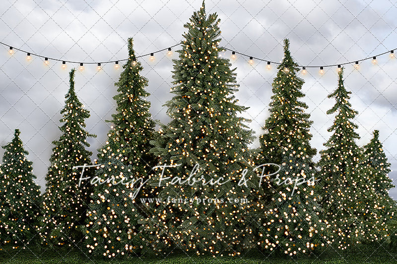 Tree Farm Traditions