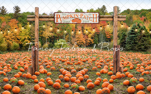 Welcome To The Pumpkin Patch Mini Room