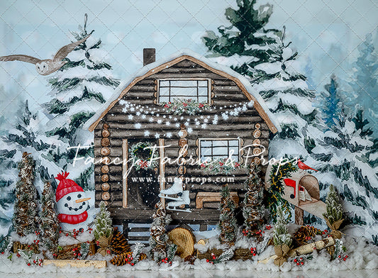 Winter Cabin Fun