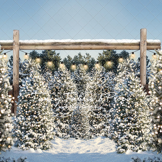 Winter Cut & Carry Tree Farm