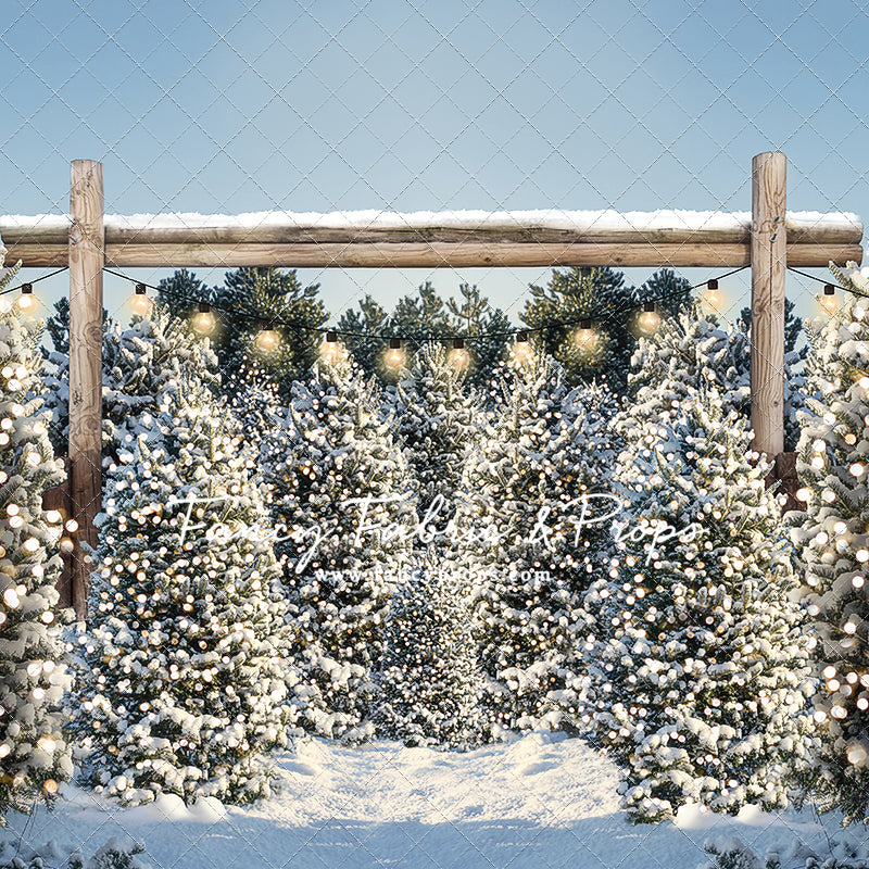 Winter Tree Farm Day Mini Room