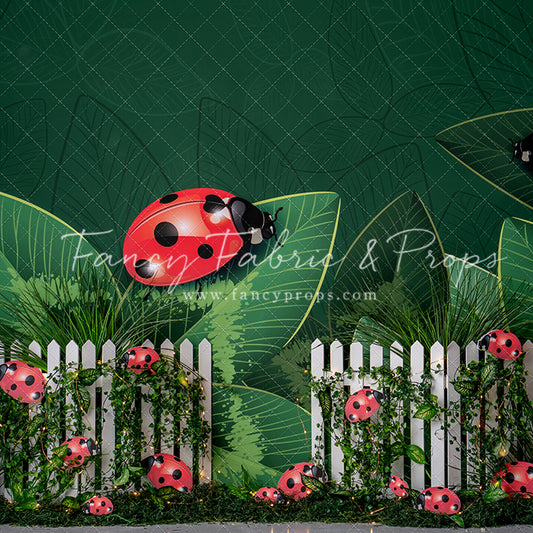 Little Bug Big World