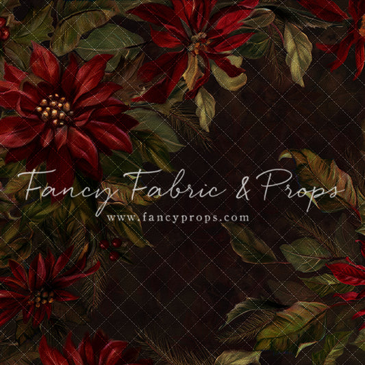 Moody Poinsettia