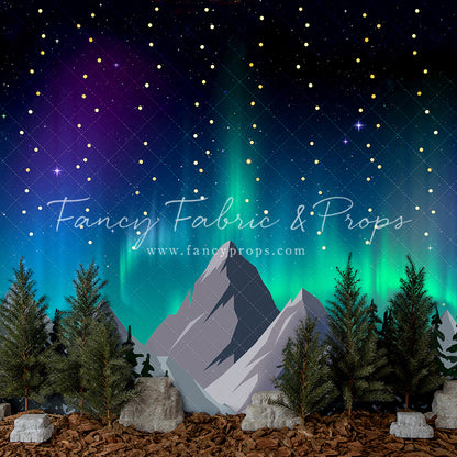 Take Me To the Northern Lights